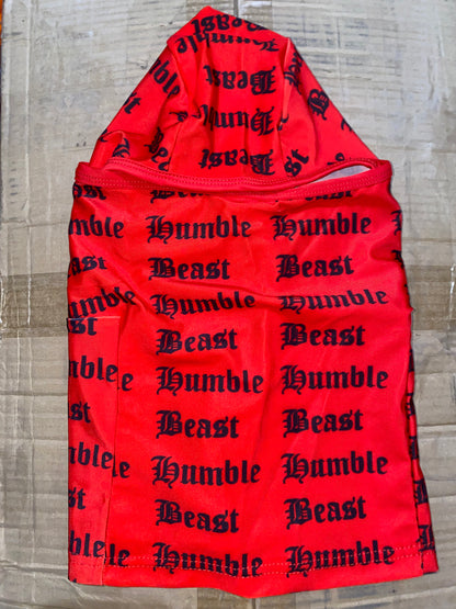 Balaclavas Mask